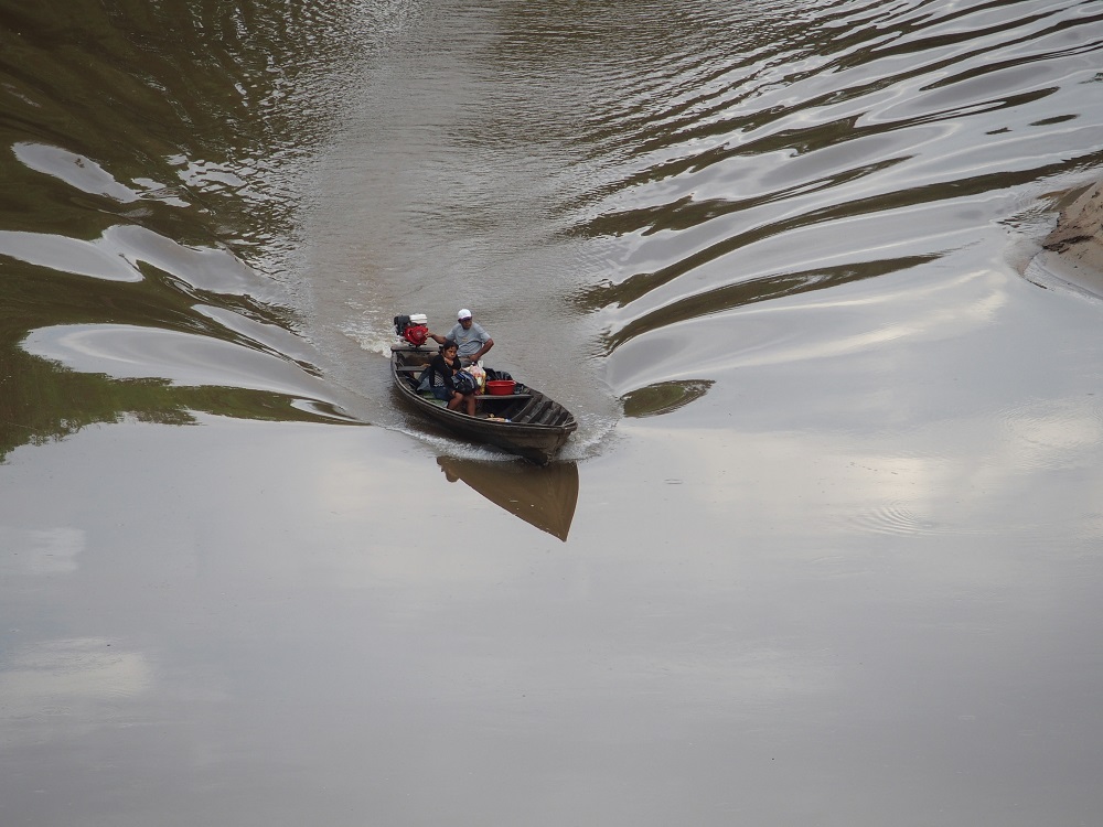 Amazonas Regenwald auf dem Río Momón